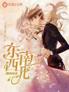 半岛V视|年宵花上新!“马卡龙色系”蝴蝶兰长这样